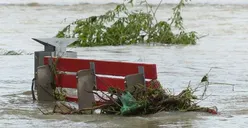 Warga Tebet Hati-hati, Wilayah Dekat Stasiun Banjir Hingga Selutut Orang Dewasa