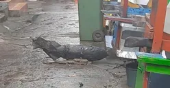 Dikira Besi Tua, Warga Temukan Mortir di Kali Cipinang