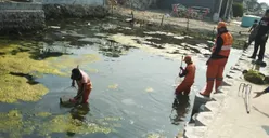 Menyisir Sampah di Kelurahan Pulau Panggang