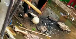 Bocah Tewas di Rusun Penjaringan, Polisi Periksa Warga yang Menolong Hingga PLN