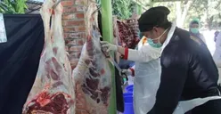 Ini Protokol Kesehatan Saat Pemotongan Hewan Kurban di Jakarta