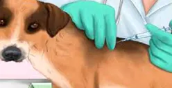 Vaksinasi Hewan Penular Rabies di Jakbar Melewati Target