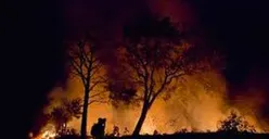 3 Hektare Lahan di Hutan Gunung Salak Sukabumi Terbakar