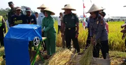 Petani Mulyaharja Bogor Panen Raya di Tengah Kemarau