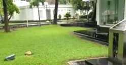 Penampakan Istana Negara Tak Lagi Banjir