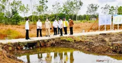 Jokowi Cek Lumbung Pangan di Kapuas