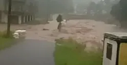 Nestapa Pemilik Tambak, 15 Ton Ikan Siap Panen Lenyap Diterjang Banjir di Pamijahan Bogor