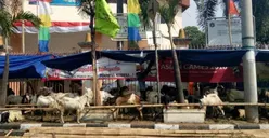 Koalisi Pejalan Kaki Kritik Pemerintah Terkait Pedagang Hewan di Trotoar