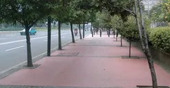 Revitalisasi Pedestrian, Komitmen Pemprov DKI Hadirkan Kenyamanan dan Keselamatan Bagi Pejalan Kaki