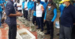 Taman Nasional Kepulauan Seribu Jadi Target untuk Genjot Pariwisata dan Ekonomi