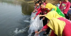 200 Ribu Bibit Ikan Ditebar di Waduk Argo Wisata, Boleh Dipancing Warga