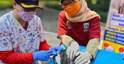 Punya Hewan Peliharaan? Dapatkan Vaksinasi Gratis di Wilayah Jakarta Barat! Catat Tanggal dan Tempatnya
