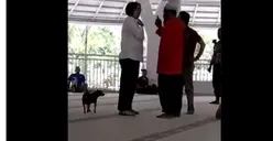 Viral, Wanita Ngamuk Bawa Anjing Masuk Masjid di Sentul
