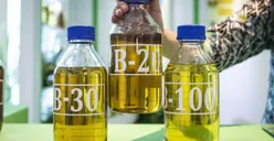 Harga Biodiesel Terbaru Rp7.387