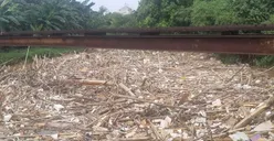2.000 Kubik Sampah Bambu Menggunung di Sungai Cikeas