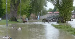 Upaya Pemprov DKI Jakarta Atasi Banjir, 4 Cara Cepat Ketahui Potensi Bencana! 