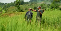 Ekspektasi Bisnis UMKM Meningkat, Prospek Q4-2025 Semakin Cerah