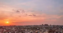 Diduga Kelelahan Mengantre Bisa 8 Jam, Sopir Truk Sampah di Jakarta Selatan Meninggal Dunia