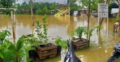 Pasca 1 Bulan Banjir Sumatera, BNPB: 1.167 Korban Meninggal Dunia, 165 Orang Masih Hilang...