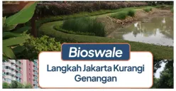 Apa Itu Bioswale? Langkah Jakarta Kurangi Genangan saat Musim Hujan