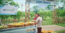 BRI Buktikan Komitmen Asta Cita, 4.909 Desa BRILiaN Jadi Motor Ekonomi Rakyat