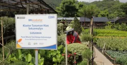 Lonjakan Pembiayaan! 34,5 Juta UMKM Rasakan Dampak Program Ultra Mikro BRI