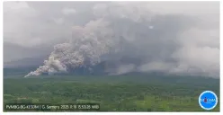 Gunung Semeru Erupsi dan Status Awas! Pemerintah Kabupaten Lumajang Tetapkan Status Tanggap Darurat Selama 7 Hari