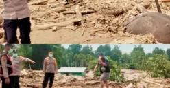 Viral Penemuan Bangkai Gajah Sumatera di Aceh hingga Konfilk Taman Nasional Tesso Nilo yang Jadi Sorotan