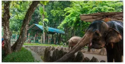 Taman Margasatwa Ragunan Hadirkan Wisata Malam Mulai Hari Ini, Pramono Anung akan Bangun Parkir Bertingkat untuk Atasi Kemacetan