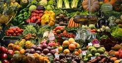 Jadwal Pasar Tumbuh di Kantor Wali Kota Jakarta Timur, Ada Bazar Hasil Urban Farming hingga Pembagian Bibit Tanaman Gratis