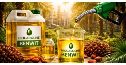 Di Tengah Ancaman Krisis Energi Global, ITS Berhasil Kembangkan Bahan Bakar Alternatif dari Kelapa Sawit Bernama Benwit