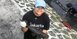 Mulai Meresahkan, Pramono Anung Siap Gelar Rapat Khusus Ledakan Populasi Ikan Sapu-sapu di Jakarta! 
