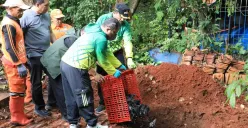 MUI Kritik Cara Pemusnahan Operasi Ikan Sapu-sapu Pemprov DKI Jakarta, Kepala Dinas KPKP: Akan Mencari Formula yang Lebih Efektif