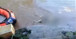 Misteri Jasad Misterius di Sungai Ciliwung, Diduga Hanyut dari Depok dari Jagakarsa