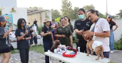 Ekspansi ke Jogja, Pawtaxi Gelar Workshop PawSAFE untuk Edukasi Pertolongan Pertama Anabul