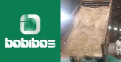 Bobibos Beri Bocoran Soal Proses Penting dalam Pembuatan Bahan Bakar Ramah Lingkungan dari Jerami