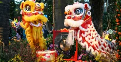 Jadwal Pertunjukkan Barongsai di Jakarta, Waktunya Rayakan Tahun Kuda Api dengan Meriah