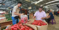 Program MBG Bisa Pengaruhi Stabilitas Harga Pangan, DPRD DKI Jakarta: Pemprov Harus Jaga Stabilitas Harga