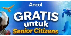 GRATIS Masuk Ancol Khusus untuk Senior Citizens hingga 31 Juli 2026, Cek Syarat dan Ketentuannya