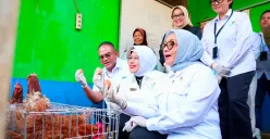 Dukung Usaha Ekonomi Sirkular, Menteri PPPA dan Kepala BPS Apresiasi PNM