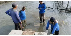 Cegah Abrasi dan Banjir Rob, SDA Kepulauan Seribu Bangun Tanggul Kubus Masif di Pulau Lancang