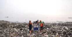 Viral Pulau Sampah di Pesisir Muara Angke, Pemprov DKI: 100 Personel Diturunkan Bersihkan Sampah Selama 4 Hari