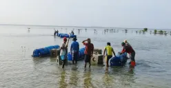 Mantap! Pemprov DKI Turunkan 2.671 Substrat Karang di Kepulauan Seribu, Upaya Pulihkan Ekosistem Laut Jakarta