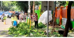 Petugas Gabungan Gerak Cepat Atasi Pohon Tumbang di Jalan Pakubuwono VI Kebayoran Baru, 3 Pengendara Alami Luka Ringan