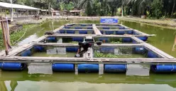 Dari Perkebunan hingga UMKM, Pemberdayaan BRI Perkuat Fondasi Ekonomi Masyarakat Desa Empang Baru