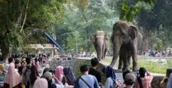 Libur Idul Adha 2026, Taman Margasatwa Ragunan Tetap Buka pada 27-28 Mei 2026, Catat Jam Operasionalnya