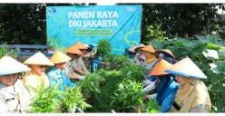 Pemkot Jakarta Selatan Gelar Panen Raya Serentak di 177 Lokasi, Hasilkan 560 Kg Cabai Rawit hingga 500 Kg Buah-buahan