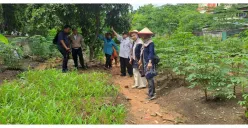 Dari Lahan Terbengkalai Disulap Jadi Urban Farming, Kelurahan Kebon Kosong Dukung Ketahanan Pangan dan Kesejahteraan Warga