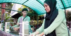 4 Suspek Kasus Hantavirus di DKI Jakarta, Dinkes DKI: 3 Sembuh Gejala Ringan dan 1 Masih Tunggu Hasil Lab 