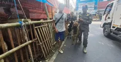 Jelang Idul Adha 1447 H,Satpol PP Jakarta Pusat Tertibkan Pedagang Hewan Kurban di Kawasan Tanah Abang!